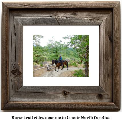 horse trail rides near me in Lenoir, North Carolina